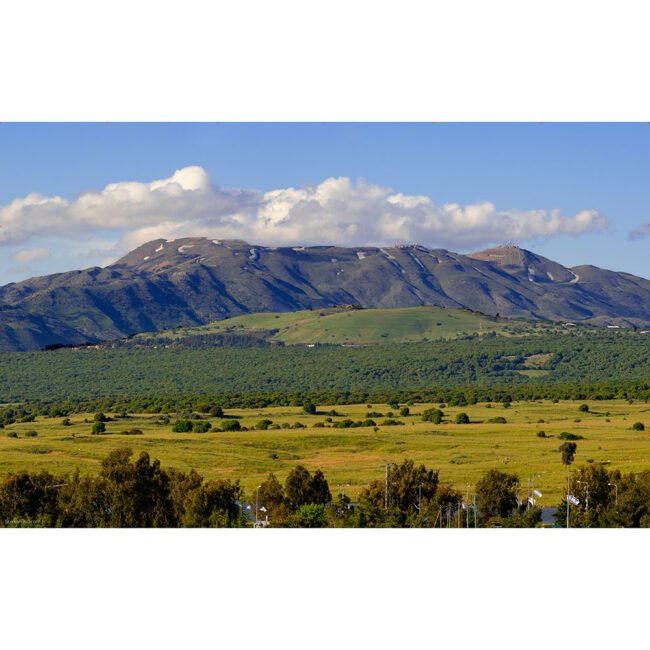 Mount Hermon Golan Heights Israel Panoramic Sukkah Single Wall Sukkah Mural