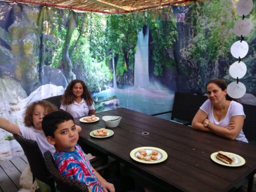 The Banias Waterfall Israel Panoramic Sukkah Fabric Walls