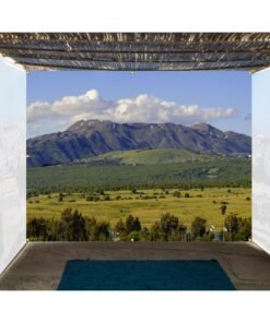 Mount Hermon Golan Heights - Single-Wall Sukkah Mural