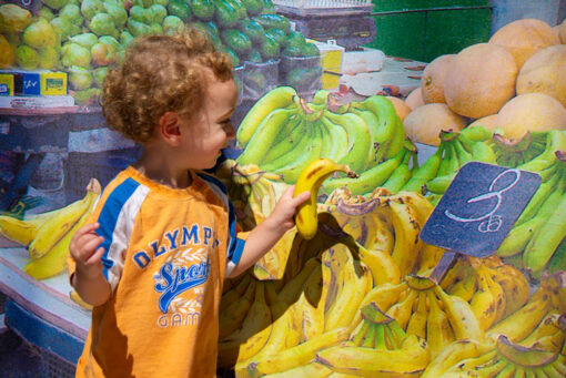 The Shuk-Machaneh Yehudah Jerusalem Panoramic Sukkah Custom Murals Sukkah360.com