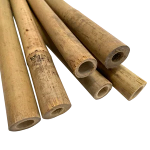 Sukkah Kit Bamboo Poles