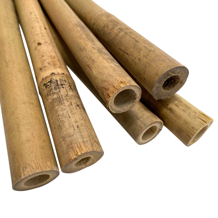 Sukkah Kit Bamboo Poles
